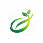 彩神(Vll)股份有限公司官方Logo